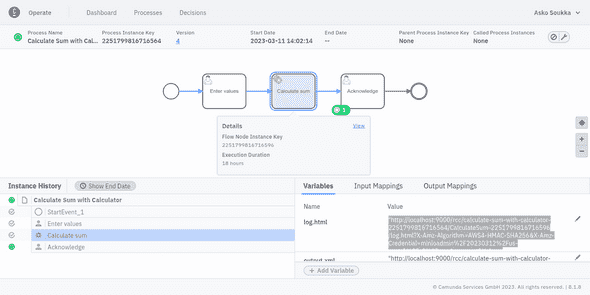 RPA exeuction log linked into a task local variable